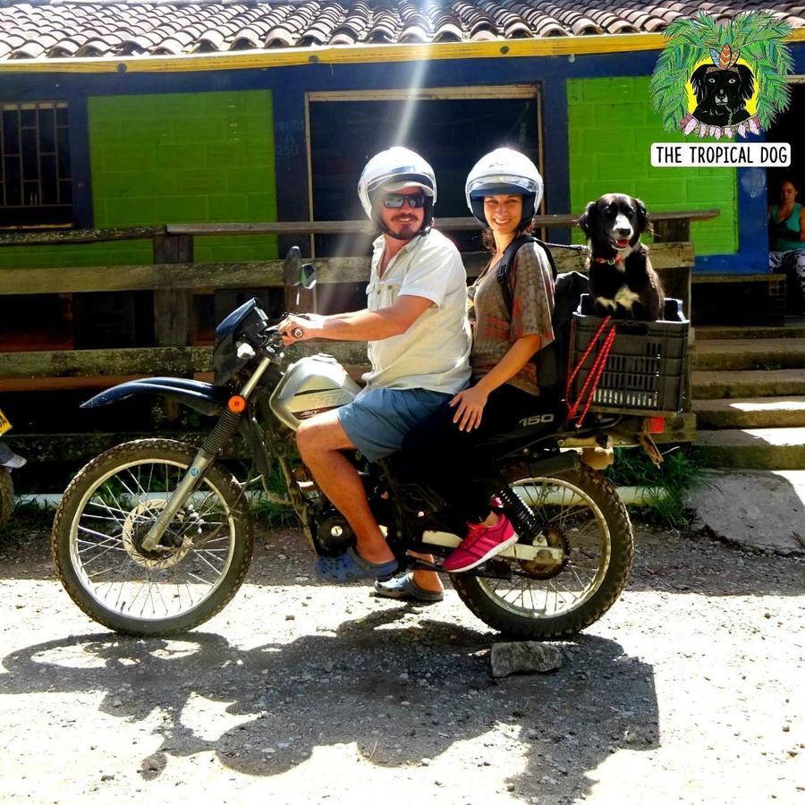 Casa Finca Tipica The Lake Hotel Guatapé Екстериор снимка